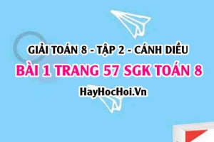 Bài 1 trang 57 Toán 8 Tập 2 Cánh Diều